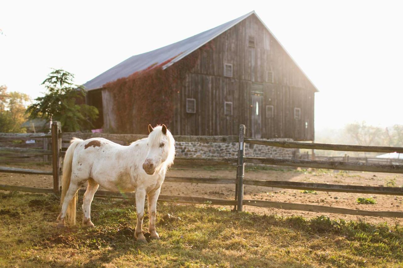 Gettysburg Battlefield Bed & Breakfast Inn Bagian luar foto